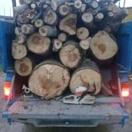 خریدار چوب و درخت