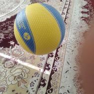توپ والیبال BETA نو