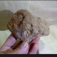 فسیل‌باستانی