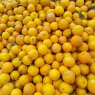 پرتقال درجه قیمت 18 تومان