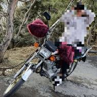 موتور،نیکتاز،150