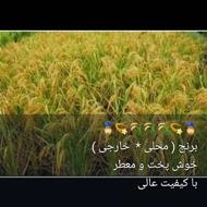 6000 متر زمین کشاورزی بسیار حاصلخیز