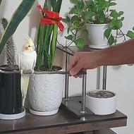 عروس هلندی زیبا