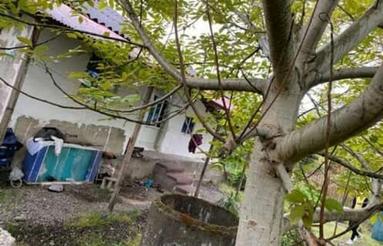 فروش ویلای جنگلی