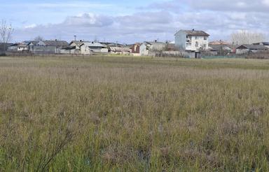 فروش زمین کشاورزی 11000 متر در جاده نالکیاشر