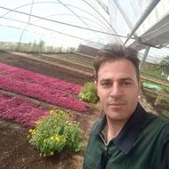 باغبانی هرس کاری سم پاشی کود دهی