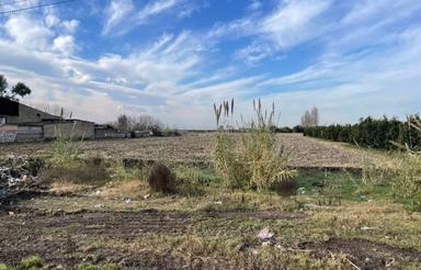 فروش زمین 1700 متر بر اصلی کیاکلا 