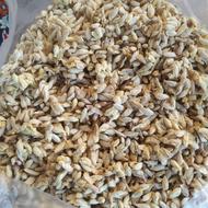 هسته نارنج و آب نارنج