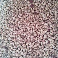 لوبیاچیتی قیمت 350تومان