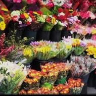 دنبال شریک کاری مطمئن هستم