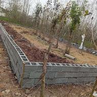 360 متر زمین فروشی