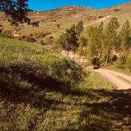 15000هزار متر واقع در دیلمان