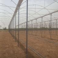 نصاب گلخانه هرجای ایران که باشه