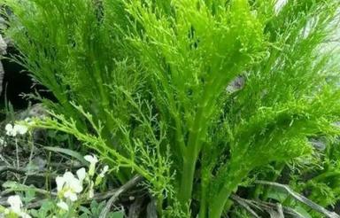 فروش خانه واپارتمان