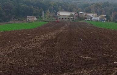 1000متر زمین در شهر فاضل آباد و داخل جنگل گلریز