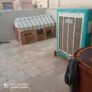 قفس مرغ برای 10مرغ اسکلت فلزی ابعاد 150در80در120