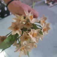 گلهای تزییینی با خمیر چینی