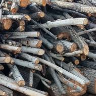 فروش چوب باغی