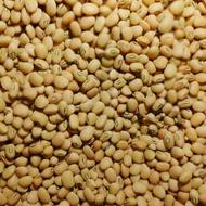 لوبیاپلومحلی