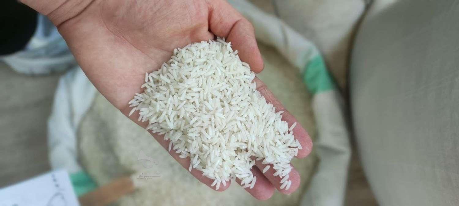 برنج طارم گیلان درجه 1/هاشمی معطر/آستانه اشرفیه