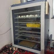 دستگاه جوجه کشی