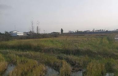 زمین کشاورزی نزدیک بافت