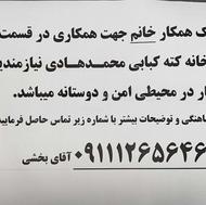 جذب نیروی کار خانم در قسمت آشپز خانه کبابی .کار بسیار ساده