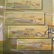 خدمات گلد همه گان ها و دایموند نایف ها