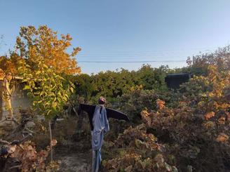 خونه باغ ویلایی360متر 