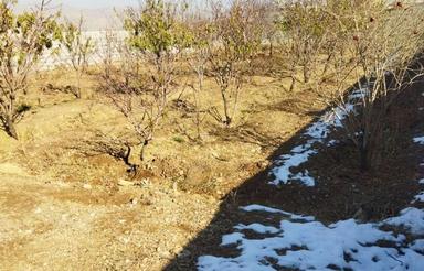 باغ درحومه نجف اباد فروش فوری