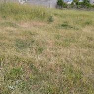 فروش زمین در زینب اباد