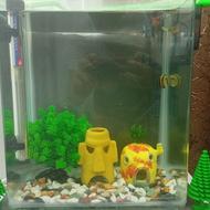 آکواریوم باب اسفنجی نو