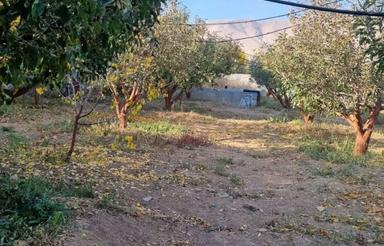 فروش باغ واقع در جابان