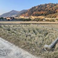 250 متر زمین در مازندران ، سوادکوه