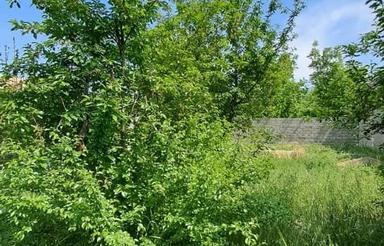 250 متر زمین چهار دیواری شهرکی