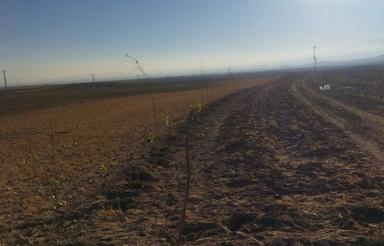 فروش یک هکتار زمین زراعی وباغ