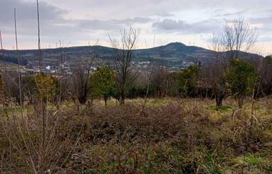 فروش باغ در شمال