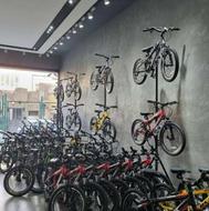 دوچرخه تنوع بینظیر