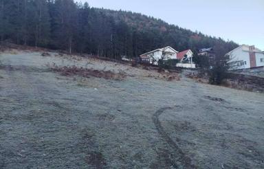 زمین 530 متری گرکپس پلاک جنگل