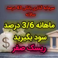 سرمایه گذاری بانکی 43 درصد سالانه ماهانه 3/6 درصد سود بگیرید