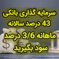 سرمایه گذاری بانکی 43 درصد سالانه ماهانه 3/6 درصد سود بگیرید