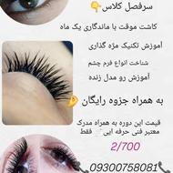 آموزش صفر تا صد کاشت هیدن