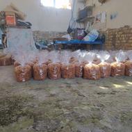 قیصی مرند عشگراباد 900 تومان کیلویی