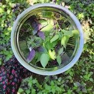 فروش محصولات خونگی