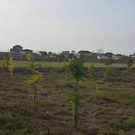 فروش زمین مسکونی 200 متر در بیشه کلا