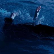 همکاری با برندها و پروژه‌های تبلیغاتی