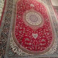 فرش 6 متری زمینه شرابی