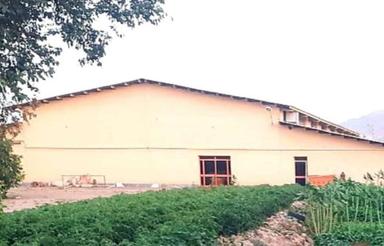 اجاره کارخانه یا مشارکت در تولید