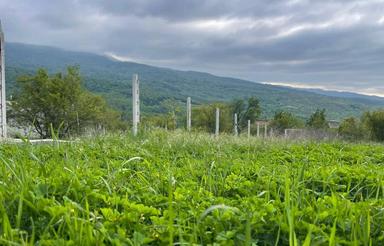 290 متر زمین مناسب برای ساخت ویلا تک برگ سند