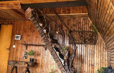 اجاره کلبه جنگلی در‌مازندران هفت ابشار تیرکن